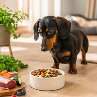 alimentacion del perro salchicha