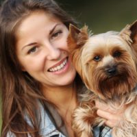 cuidados-del-yorkshire-terrier